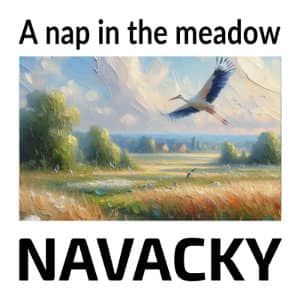 A nap in the meadow