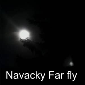 Far fly